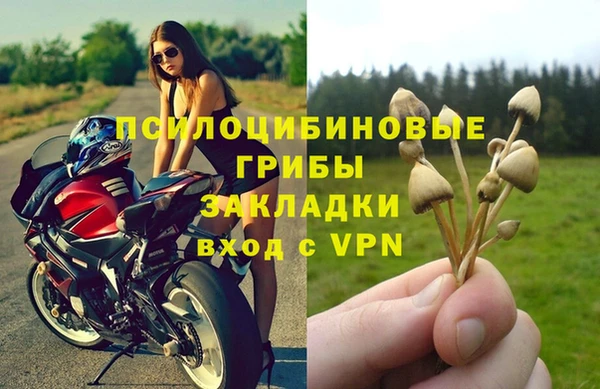 a pvp Белоозёрский
